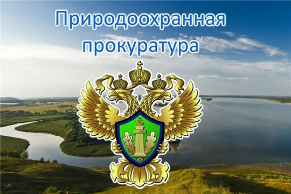Разъяснения Калужской межрайонной природоохранной прокуратуры.